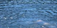 В Башкирии школьница вытащила двух пенсионерок из воды - Башинформ
