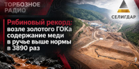 Рябиновый рекорд: возле золотого ГОКа  содержание меди в ручье выше нормы в 3890 раз - ИА SakhaTime