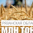 Рязанские аграрии собрали два миллиона тонн зерна - ИА МедиаРязань