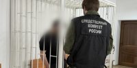 В Малгобеке завершено расследование уголовного дела о применении насилия в отношении сотрудника полиции - Следственный комитет