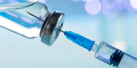 Россельхознадзор получил жалобу на гибель кошки после вакцины "Мультифел" - M24.Ru