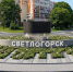 Слепящий водителей подарок на въезде в Светлогорск поставили спонсоры - ИА Русский Запад