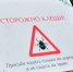 Почти 60 крымчан заразились боррелиозом из-за укусов клещей - Крымская правда