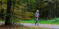 В лесу у Синявино ищут 88-летнюю пенсионерку. И уже не в первый раз - 47 новостей