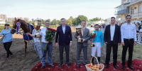 Возрождение ипподрома в донской столице - Big-Rostov.Ru
