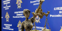 В Лодейном Поле вынесли приговор иностранцу, пытавшегося дать взятку полицейскому - 47Channel.Ru
