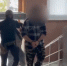 Дончанин переводил деньги террористам и попал под уголовное дело - Bloknot-Rostov.Ru