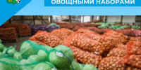 Акция по обеспечению овощными наборами - Беловский район