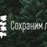 акции Сохраним лес. - Малоярославецкий район