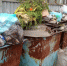 Image-1.png - Киренский район