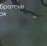 Поделитья во ВКонтакте - Братская Студия Телевидения