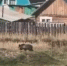image - GazetaRB.Ru