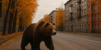 Медведь в городе / Изображение сгенерировано ИИ ChatGPT / amic.ru - ИА Амител