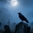 image - GazetaRB.Ru
