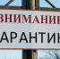 Под Тутаевом ввели карантин по бешенству - YarNews.Ru