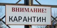 Под Тутаевом ввели карантин по бешенству - YarNews.Ru