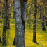 Фото: ПАИ - InformPskov.Ru