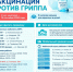В Балаково сегодня стартует прививочная кампания против гриппа - ProBalakovo.Ru