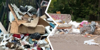 В Ярославле назвали самый проблемный район по мусорным свалкам - YarNews.Ru