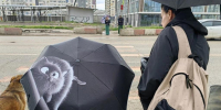 KrasnodarMedia - KrasnodarMedia