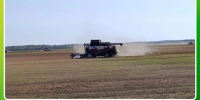 Уборочная кампания в Ключевском районе. - Ключевский район