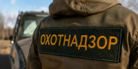 В Забайкалье усилили защиту жителей от диких животных - ИА Байкал-Daily