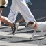 В Ульяновске на бульваре Пластова восстановят пешеходный переход - Комсомольская правда
