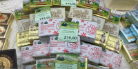 background - Вологда-поиск