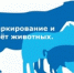 Порядок действий граждан для осуществления учета животных - Савинский район