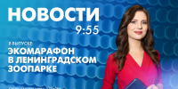 Новости Петербурга к 9:55 - tvspb.ru - ТК Санкт-Петербург