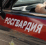 Фото: https://58.rosguard.gov.ru/ - Penza-Post.Ru