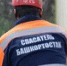 В Уфе в помещение залетела летучая мышь - Башинформ