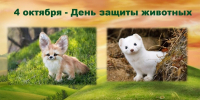ФОТОКОНКУРС - Вавиловский университет