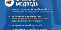 В Усть-Илимске сохраняется режим повышенной готовности из-за выходов медведей - Администрация г. Усть-Илимск