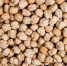 close top view peas - Газета Восход