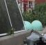 Скриншот для иллюстрации из видео губернатора Ростовской области Юрия Слюсаря в его МАКС-канале - DonNews.Ru