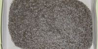 DSCN4939.JPG - МВД Республики Адыгея