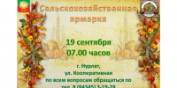 Все на ярмарку! - Нурлатский район