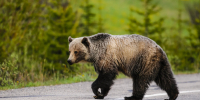 Фото: BGSmith/Shutterstock/Fotodom - Красный Север