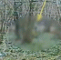 background - Kaluga-Poisk.Ru