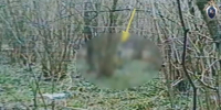 background - Kaluga-Poisk.Ru