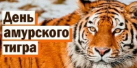 💥День амурского пройдёт в областном центре Еврейской автономной области. - Центр народного творчества