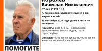 Пропавшего 87-летнего пенсионера ищут в лесах Белохолуницкого района - Newsler.Ru