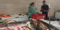 В Астрахани полицейские пресекли факты незаконной продажи рыбы - Ast-News.Ru