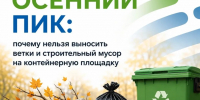 Осень на Дону: почему листву и ветки не вывозит регоператор - Красносулинский район