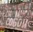 Кастрюлю, штаны и пару кроссовок нашли волонтёры на Аракульских Шиханах - Pchela.News