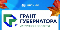 Второй конкурс губернаторских грантов: амурские НКО могут получить до 1,5 миллиона рублей - Asn24.Ru