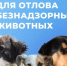 Куда обращаться для отлова безнадзорных животных?. - Вейделевский район