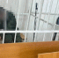 Сотрудники ФСБ перекрыли  крупный наркоканал в Смоленской области - Смоленск 2.0