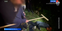 В Гатчине осудили женщину за жестокое убийство знакомого - ГТРК Санкт-Петербург